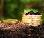 Kasvuhoones kasvatamine ettevõttena: lõksud, peensused ja nüansid Muude roheliste kasvatamise meetodite ja nende kulude kohta