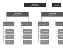 Karakteristikat e zgjedhjes së strukturës organizative të menaxhimit të ndërmarrjes Grafiku i menaxhimit organizativ